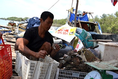 Người nuôi thủy sản khốn đốn vì dự án nạo vét sông