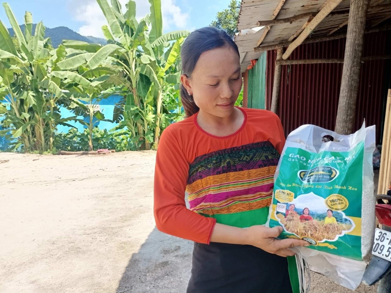 Gạo nếp ML.jpg Gạo nếp ML.jpg