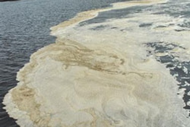 Thu hồi giấy chứng nhận sản phẩm an toàn của Vedan