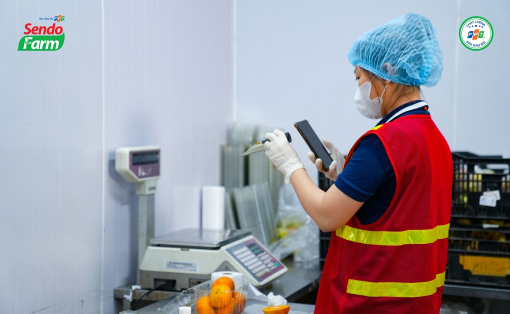 Sendo Farm nâng cao năng lực vận hành hỗ trợ nhà cung cấp và đối tác - 4 Sendo Farm nâng cao năng lực vận hành hỗ trợ nhà cung cấp và đối tác - 4