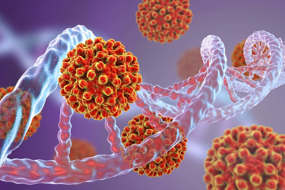 Virus viêm gan B: Kẻ thù siêu nhỏ thách thức y học thế giới - 1 Virus viêm gan B: Kẻ thù siêu nhỏ thách thức y học thế giới - 1