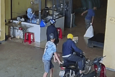 Vừa ra tù lại bị bắt vì ăn trộm hồ tiêu đem đi bán