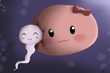 Dinh dưỡng hỗ trợ thụ thai