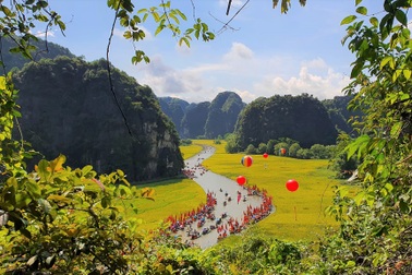 Sắc vàng Tam Cốc - Tràng An say đắm lòng du khách