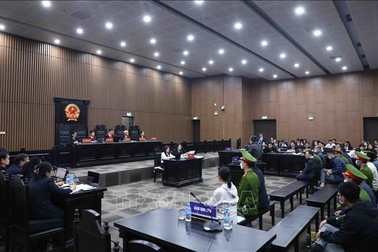 Những "ông vua con" và cơ chế ngầm - Bài 3: Quay đầu là bờ