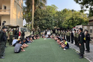 Triệt phá sới bạc núp bóng chọi gà quy mô lớn ở Vĩnh Phúc