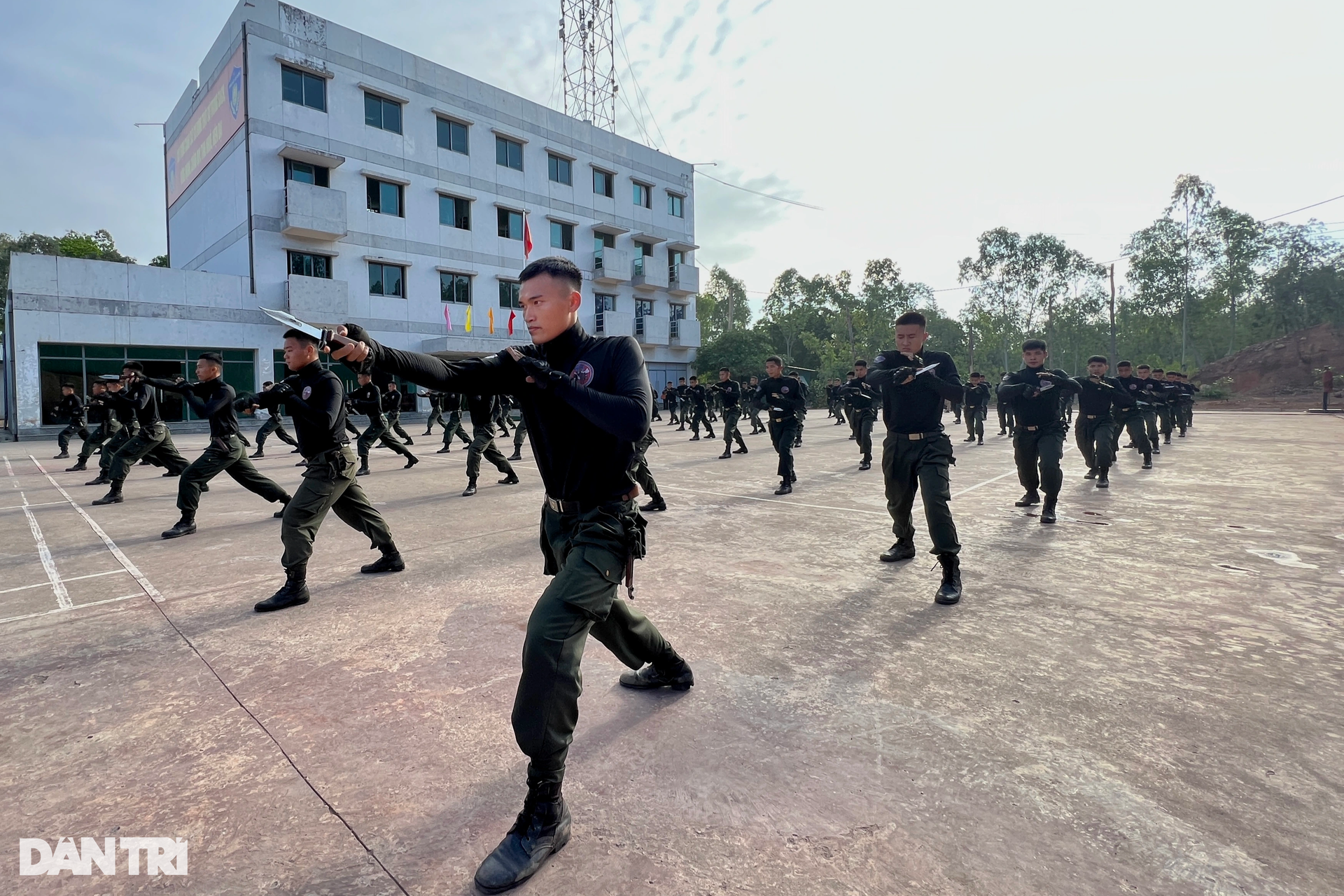 Cảnh sát chống khủng bố: Bí ẩn dưới lớp lá bạch đàn khô - 1 Cảnh sát chống khủng bố: Bí ẩn dưới lớp lá bạch đàn khô - 1