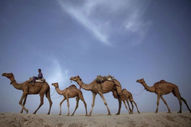 Con đường tơ lụa mới: Những ý đồ riêng ở một khu vực chung