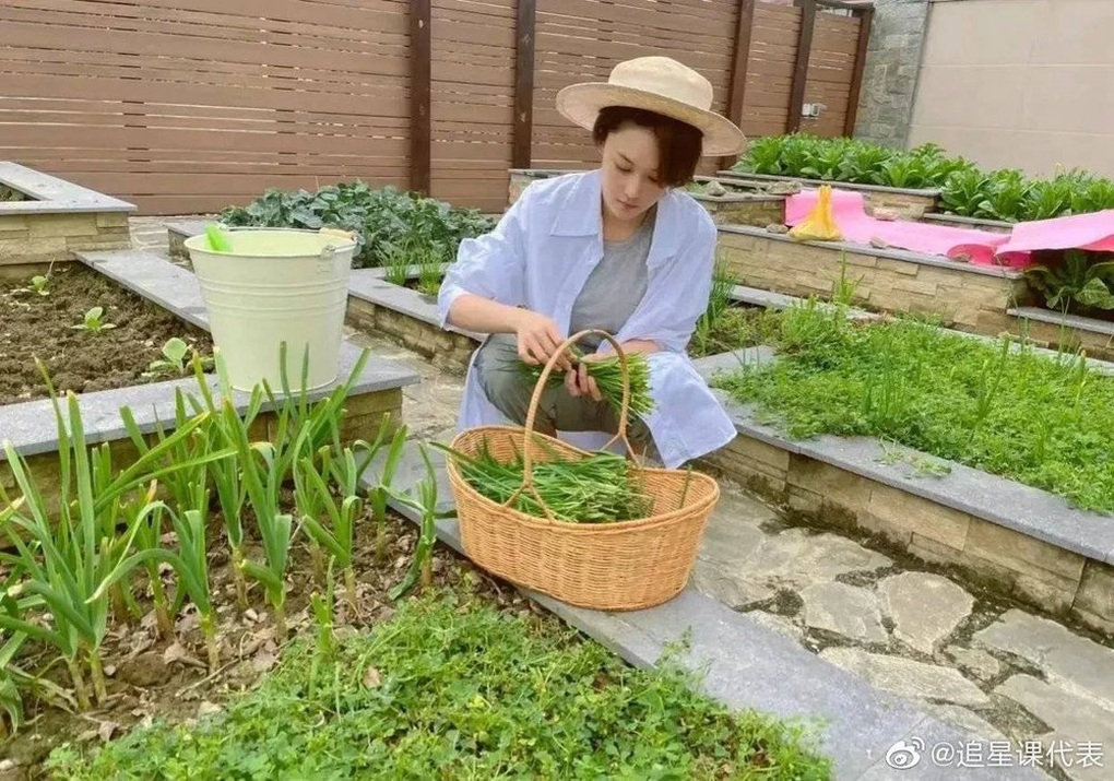 Cuộc sống hiện tại đầy bất ngờ của mỹ nhân lộ ảnh nóng Trương Hinh Dư - 9 Cuộc sống hiện tại đầy bất ngờ của mỹ nhân lộ ảnh nóng Trương Hinh Dư - 9