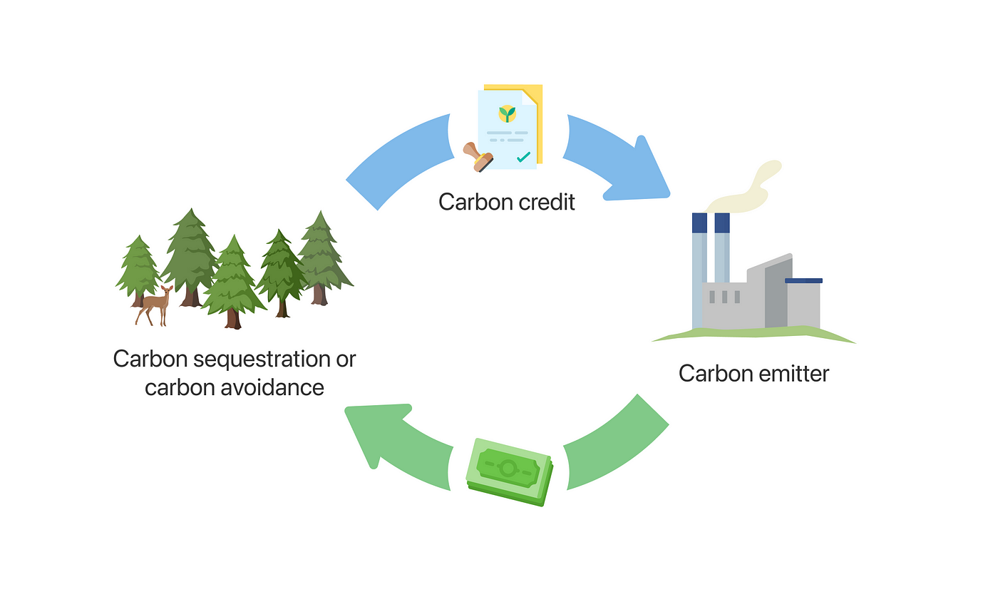 Tín chỉ carbon: Thu tiền thật từ việc bán không khí - 1