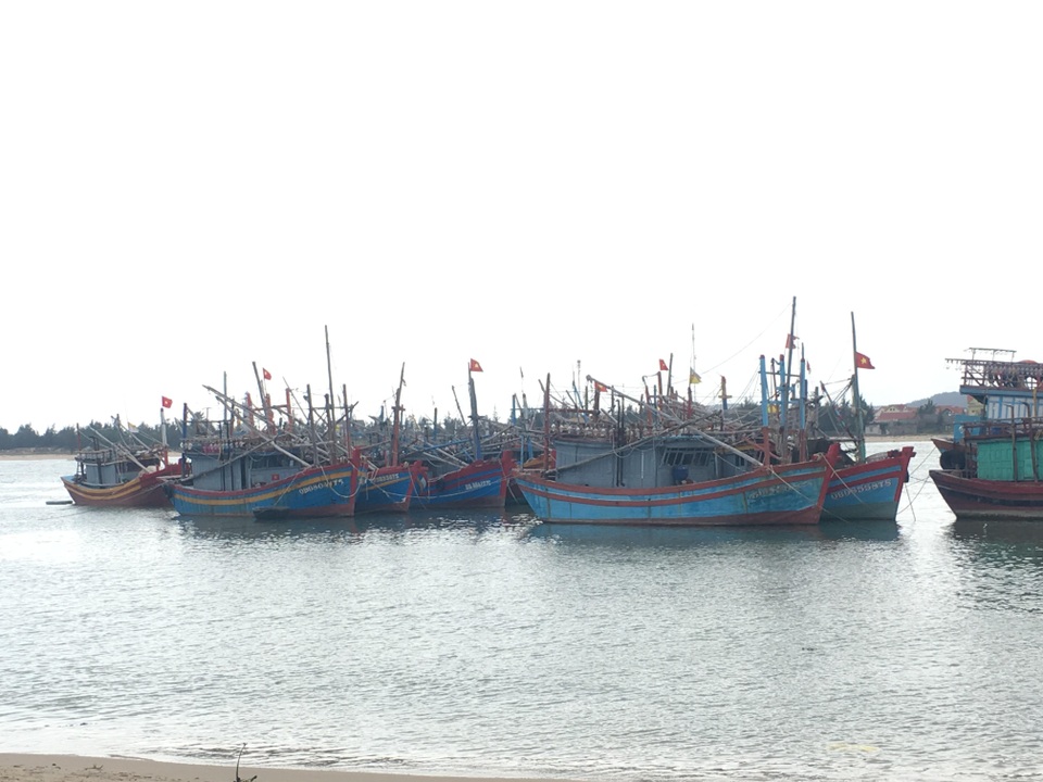 1 người tử vong, 7 người nhập viện cấp cứu sau khi ăn ốc biển - 1 1 người tử vong, 7 người nhập viện cấp cứu sau khi ăn ốc biển - 1