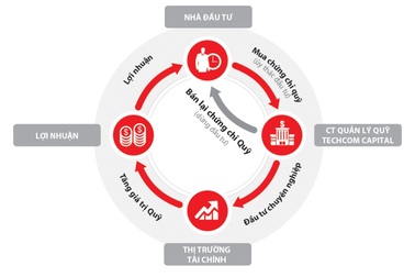 5 lý do để đầu tư vào Quỹ mở