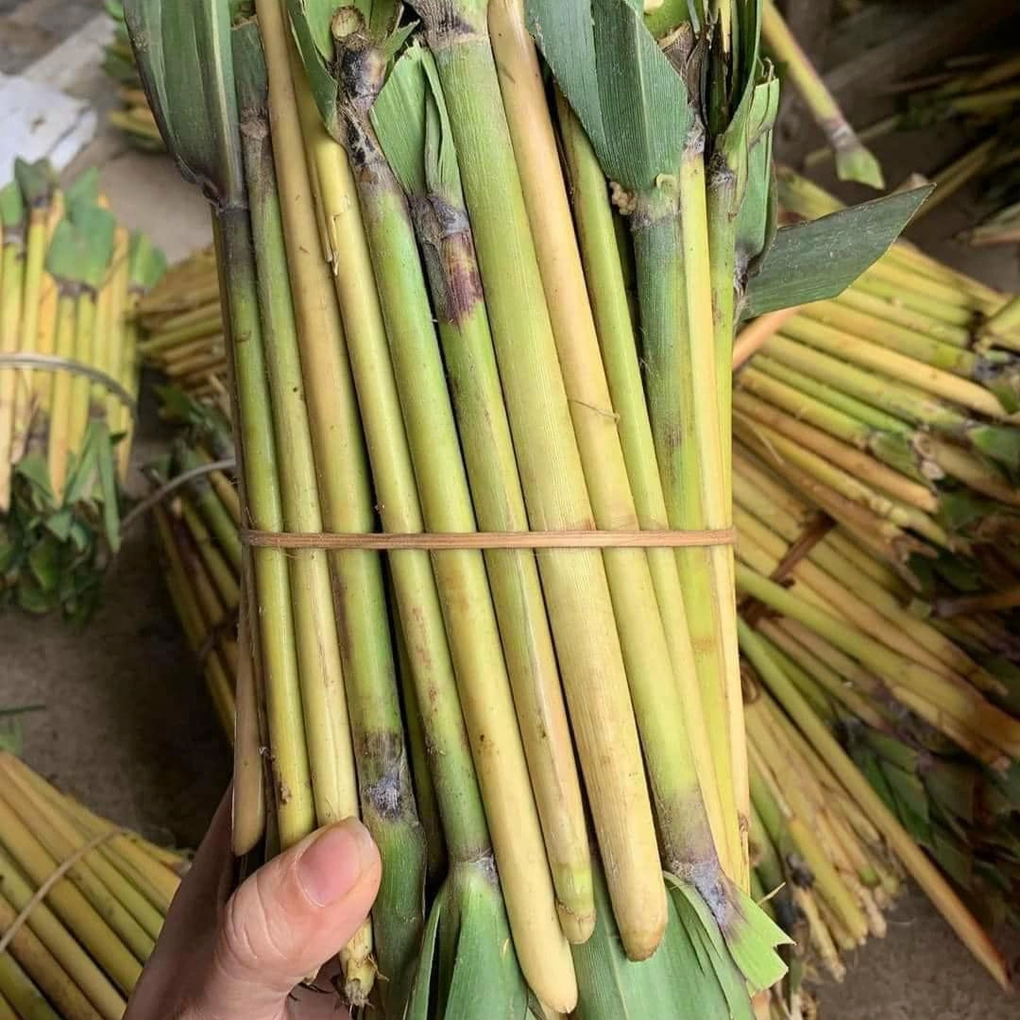 Đặc sản lạ giá bạc triệu ở Tây Bắc, khách sợ xanh mặt vẫn tìm mua - 3 Đặc sản lạ giá bạc triệu ở Tây Bắc, khách sợ xanh mặt vẫn tìm mua - 3