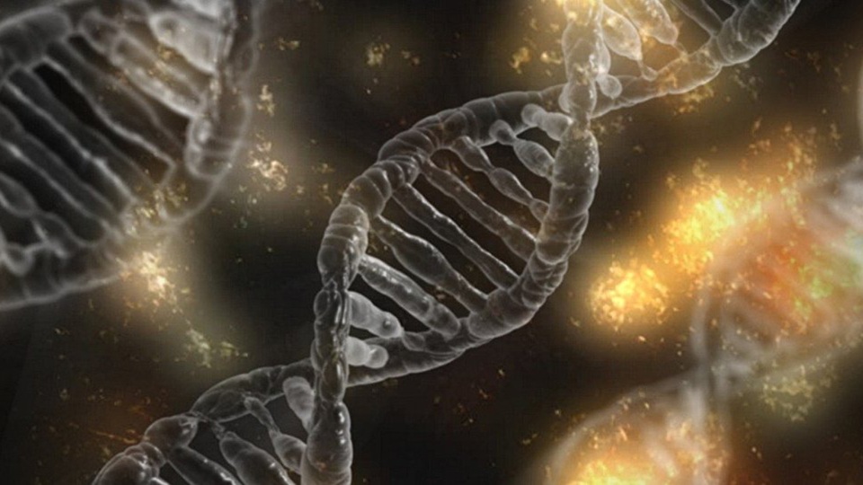 Nguồn gốc của sự sống trên Trái đất dần được hé lộ - 1 Nguồn gốc của sự sống trên Trái đất dần được hé lộ - 1