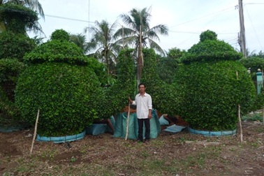 Người đàn ông “nghiện” lập kỷ lục Việt Nam