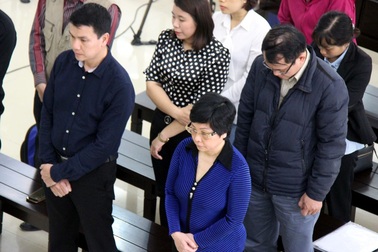 Cựu Đại biểu Quốc hội Châu Thị Thu Nga bị y án chung thân