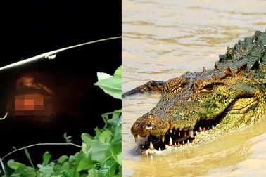 Chàng trai bị cá sấu kéo lê 4 tiếng, cảnh sát phải thả lưới vớt thi thể