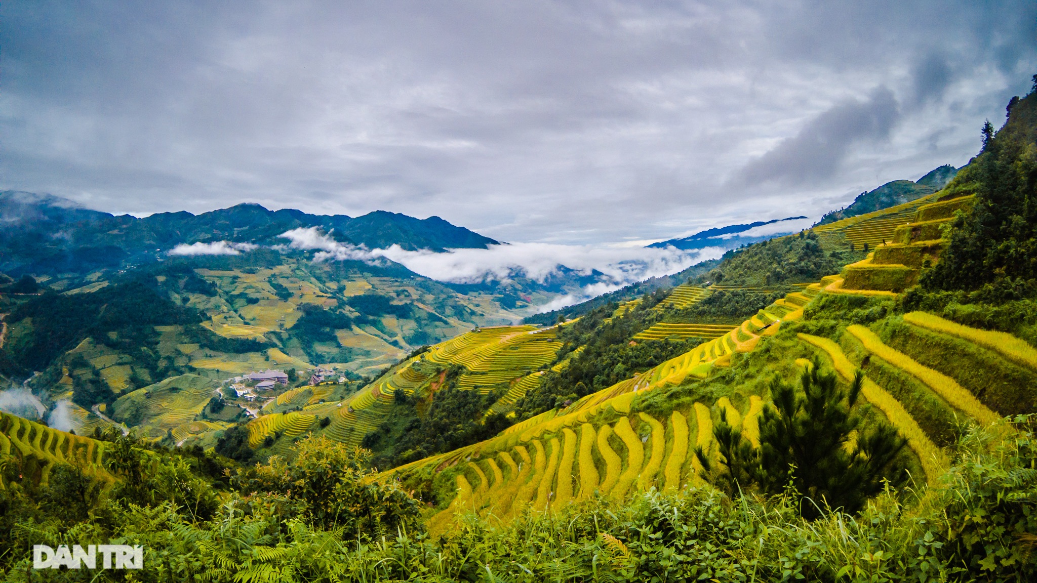 Chạy bộ khám phá vẻ đẹp rực rỡ của những bản làng Mù Cang Chải