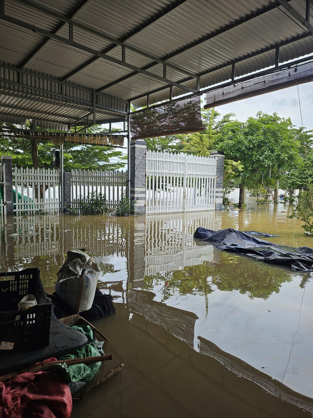 Mới mở phòng gym 2 tháng, chủ hốt hoảng vác tạ chạy lũ” - 2