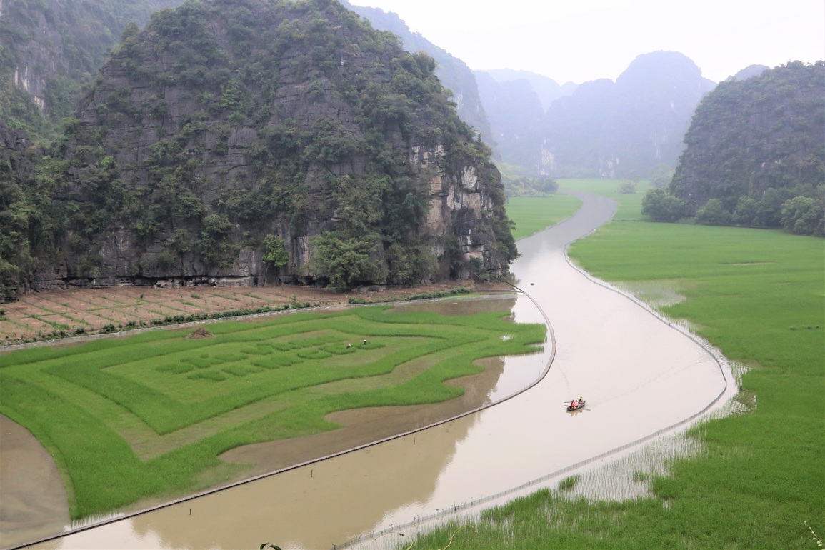 Trầm trồ cánh đồng lúa hình lá cờ hội khổng lồ đẹp như tranh ở Tam Cốc - 7 Trầm trồ cánh đồng lúa hình lá cờ hội khổng lồ đẹp như tranh ở Tam Cốc - 7