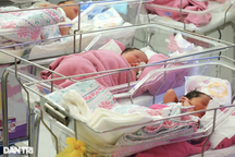 Chuyên gia thế giới tiết lộ thứ có thể giúp triệu trẻ sinh non giảm tử vong