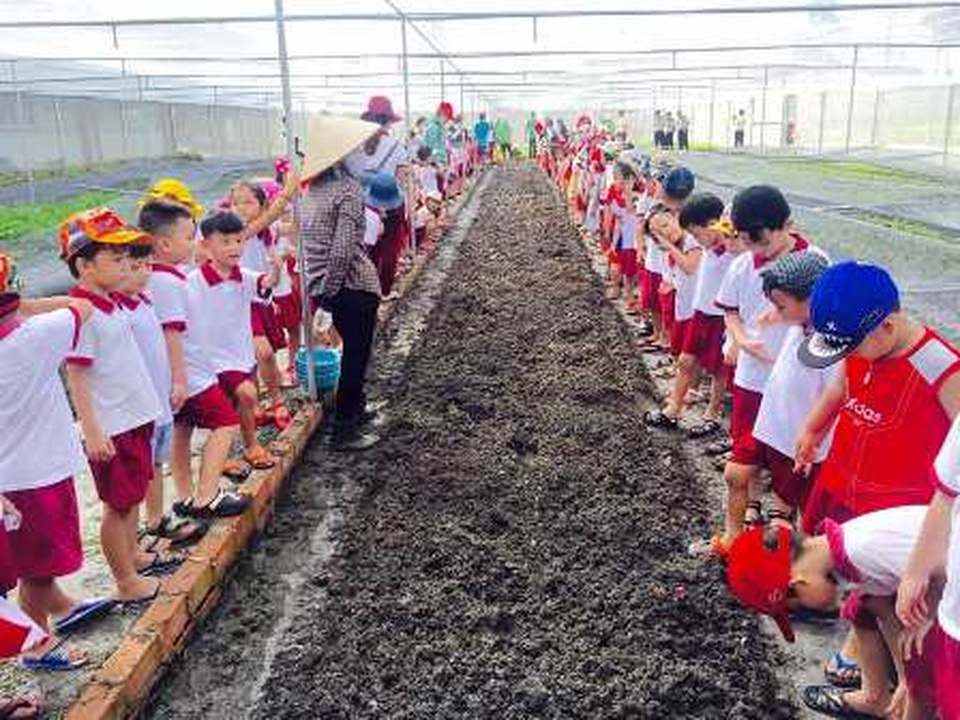 Bỏ việc ngân hàng lương cao về trồng rau 5 không lãi 100 triệu/tháng - 4 Bỏ việc ngân hàng lương cao về trồng rau 5 không lãi 100 triệu/tháng - 4