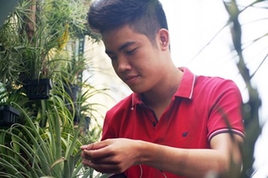 Trồng cây trong … không khí