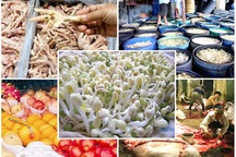 Phó Thủ tướng: Mất an toàn thực phẩm - Không phải do các bộ chồng chéo trách nhiệm