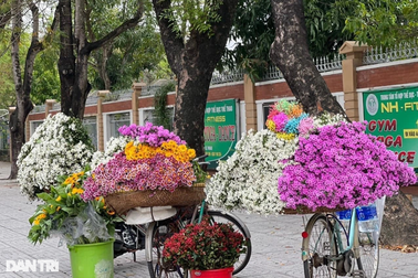 Dẹp xe hàng hoa "phong cách Hà Nội" ở TP Vinh