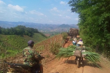 Không có biện pháp bảo vệ ngành mía đường, hàng triệu lao động, hộ dân có nguy cơ tái nghèo