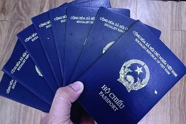 Người dân Đà Nẵng hỗ trợ tìm 30 cuốn hộ chiếu cho nam bưu tá trong đêm