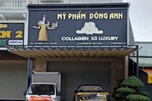 Nữ Giám đốc 24 tuổi bị khởi tố