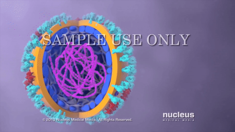 Giải mã “vũ khí” bí mật khiến bệnh cúm lây lan với tốc độ chóng mặt - 1