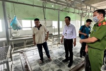 Kiểm tra lò giết mổ heo gia công cho Công ty C.P. Việt Nam tại Hậu Giang