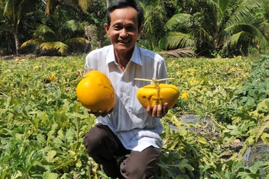 Những lão nông kiếm bạc tỷ từ nghề “nặn” trái cây lạ