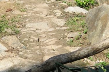 Hai anh em song sinh thương vong vì nhảy núi