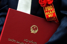 Một ứng viên phó giáo sư trẻ nhất năm nay chưa đủ tiêu chuẩn công nhận