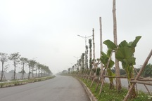 Công bố loạt dự án BT của "đại gia" bất động sản phải dừng triển khai