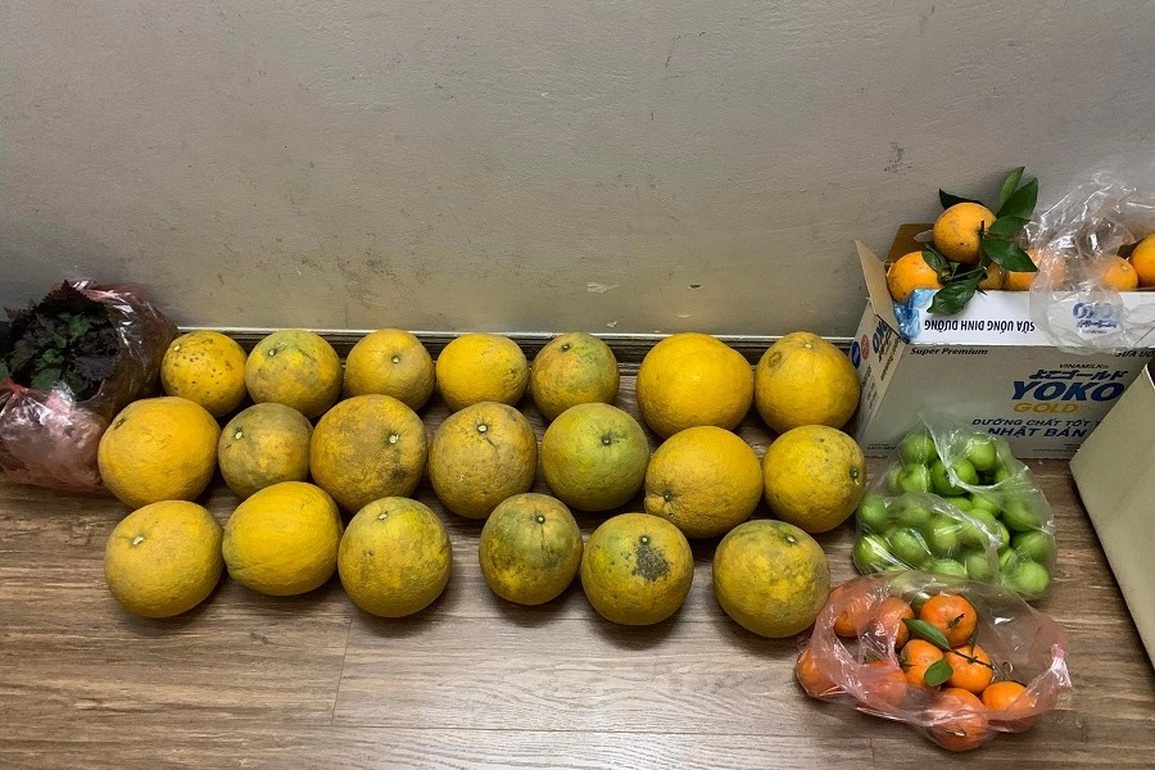 Vừa lên... 2 vạch, F0 bay luôn chục triệu đồng - 2 Vừa lên... 2 vạch, F0 bay luôn chục triệu đồng - 2