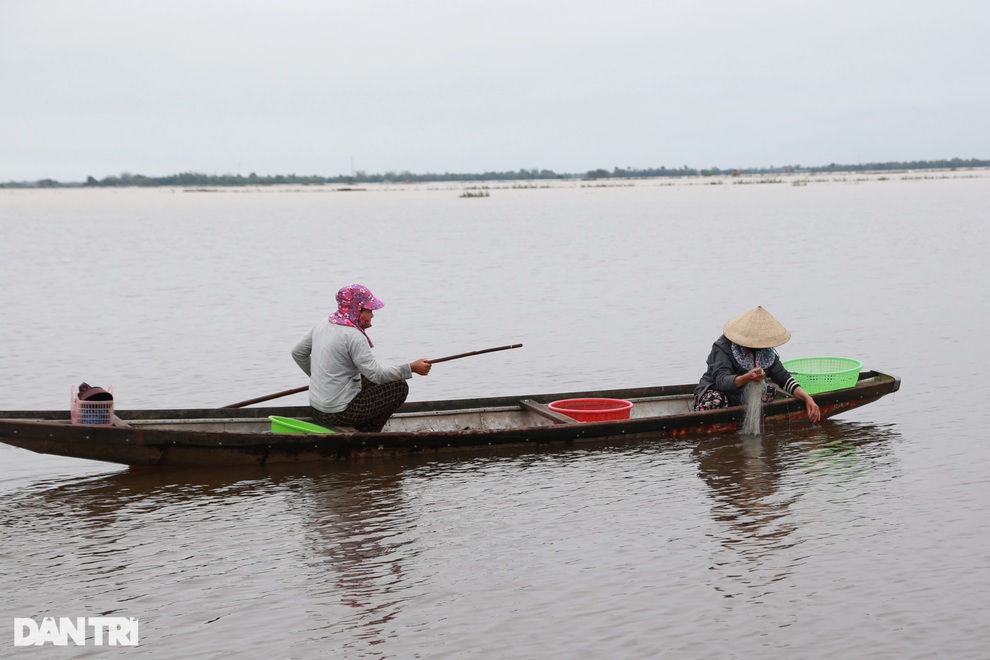 Thợ xây thất nghiệp vì Covid-19, chuyển nghề đánh cá vẫn vật vã qua ngày - 5 Thợ xây thất nghiệp vì Covid-19, chuyển nghề đánh cá vẫn vật vã qua ngày - 5