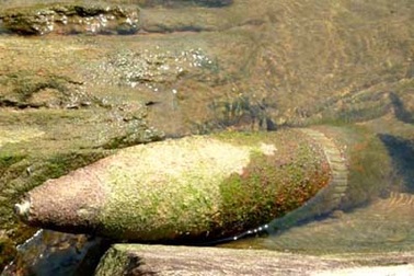 Tá hỏa phát hiện đạn pháo nằm cạnh nhà hàng