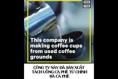 Độc đáo quy trình sản xuất tách uống cà phê từ chính…bã cà phê bỏ đi