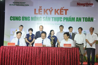 15 doanh nghiệp “hứa” cung ứng nông sản an toàn