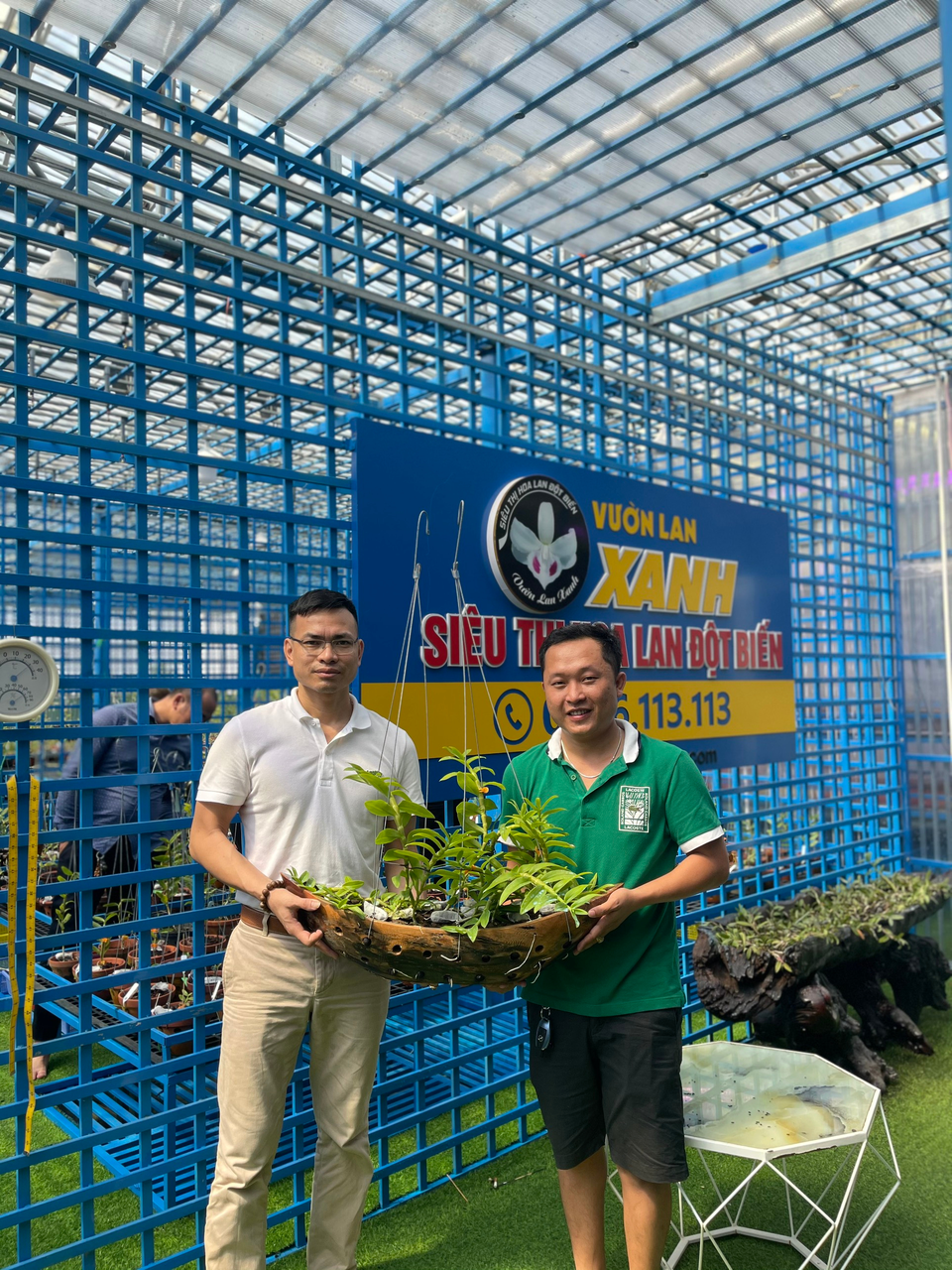 Nghệ nhân Bùi Đình Chung bật mí cách chăm lan đột biến vào mùa hè - 5 Nghệ nhân Bùi Đình Chung bật mí cách chăm lan đột biến vào mùa hè - 5