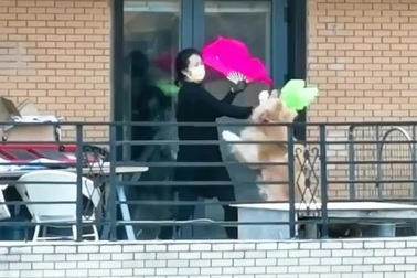 Những màn “tỉ thí võ nghệ” đầy ngộ nghĩnh giữa cô gái và... chó cưng