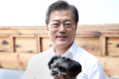 Tổng thống Hàn Quốc kêu gọi cân nhắc cấm ăn thịt chó