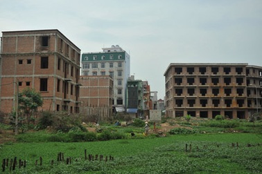 Sau vụ Tiên Lãng, đất đai lại để phí vì địa phương “ngại” cưỡng chế