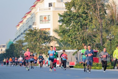 Nhiều trải nghiệm không nên bỏ lỡ tại "Ngày hội xanh" 2024