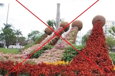 Thực hư hình ảnh "phản cảm" ở nơi trưng bày hoa Xuân Quảng Nam