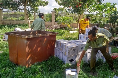 Phát hiện hàng trăm cơ sở kinh doanh thực phẩm “đểu”